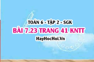 Bài 7.23 trang 41 Toán 6 Tập 2 Kết nối tri thức